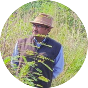 Prof. Hemant Kumar Tiwari